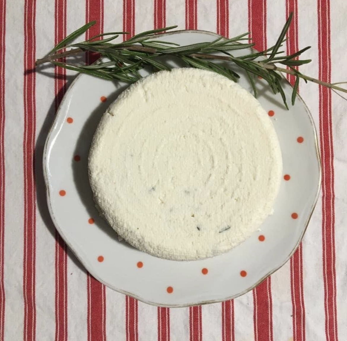 Indický sýr panýr (Paneer)